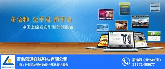 雷迅在線圖 鄭州網站建設與計算機軟硬件技術開發