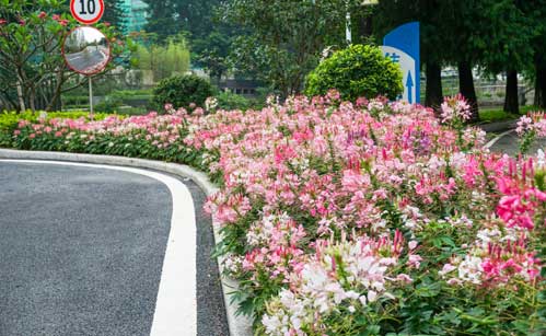 廣州園林工程,綠化公司,園林公司,深圳綠化養(yǎng)護(hù),花卉種植,景觀設(shè)計(jì)與施工找麗芳園林