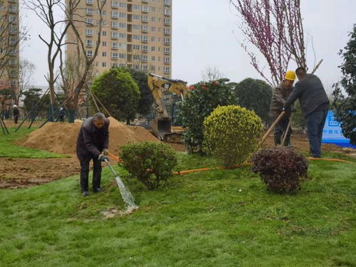 南陽市宛城區(qū)春季園林綠化提升工作成效顯著展現(xiàn)綠化工程新氣象