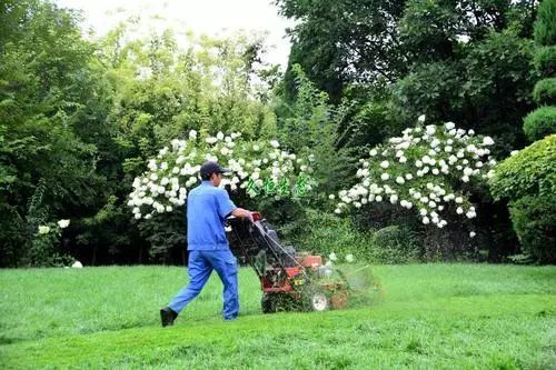 春季園林植物綠化養護攻略大全